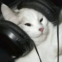 destroharsh123 avatar