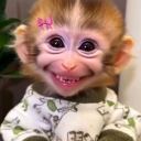 avatar [AFK] ˚.  !!  ʙɪɴᴋʏ 𝜗𝜚 . ᶻzᶻ ™