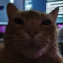 tavvkkj