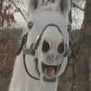 vikroto