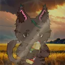 krqte