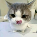 avatar Mádágáscar#Lá Háine31