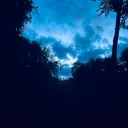jakob_2021