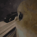 eiruwu