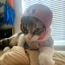 avatar ౨ৎblossoming for eternity ౨ৎ