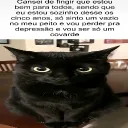 hishitgs avatar