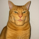 avatar Weihenstephaner