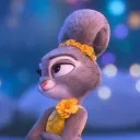 bunnyyy4179