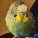 View cherepokivan's Profile
