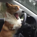 mcvities