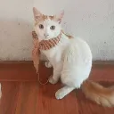 elabuelopiero avatar