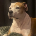 avatar IGN is zetoyy/keepridingit