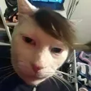rickydagang