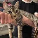 nguyeenphong's Avatar