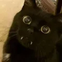 fuckluan.