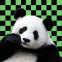 .janiito
