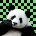 .janiito