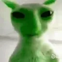 squidsaltissus