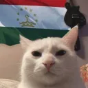 retroraveq