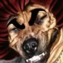 juan.xd_ avatar