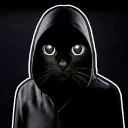 blackcat9.11