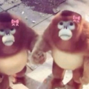 avatar !     Krishna 🌸