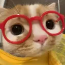 minafofina