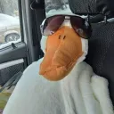 Аватар defloratio