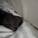 avatar Caressing  the Nipples of Mydada