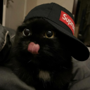 avatar 𝐋 𝐀 𝐑 𝐀🌸