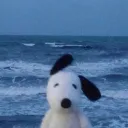 lowyfnw_