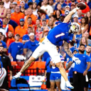 avatar Gators_Nation 🐊