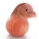 abobadex