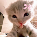avatar Odette