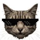 tim_games5