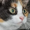 neiru