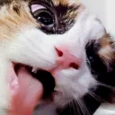 neiru