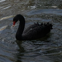 avatar 𝐉𝐚𝐬𝐦𝐢𝐧𝐞🪐