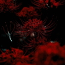 avatar 𝐉𝐚𝐬𝐦𝐢𝐧𝐞🪐