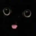 true_eclipse_beanz avatar