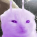 avatar 𝑹𝒖𝒃𝒆𝒔✰