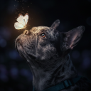 avatar 𝘑𝘢𝘤𝘬𝘺 ☾