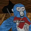 mr_bucko123