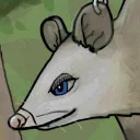 wetopossum