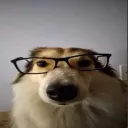 sykyggod
