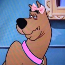 avatar 𝔜 𝔲 𝔫 𝔬