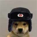 projang_jr.