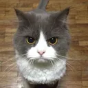itzaw