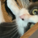 _deadnotsleeping member profile picture