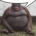 fatblackmonki1